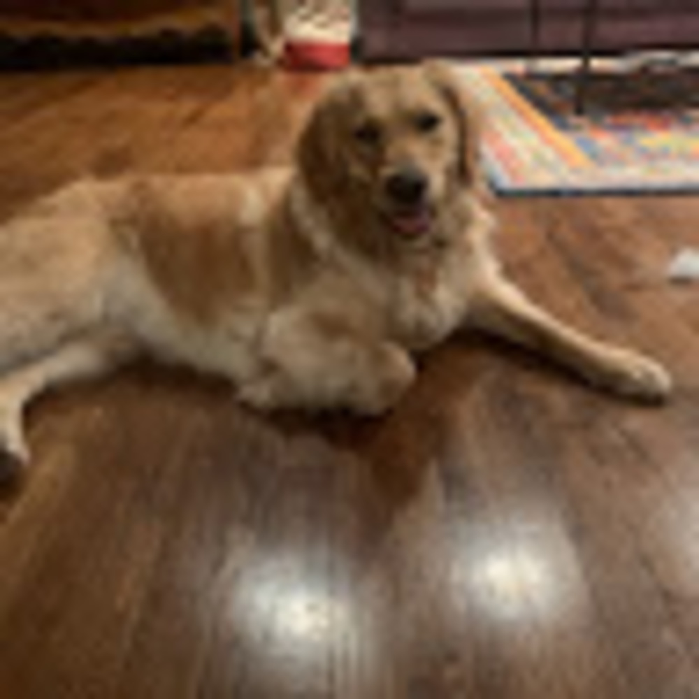 Meet your Posher, Hayley